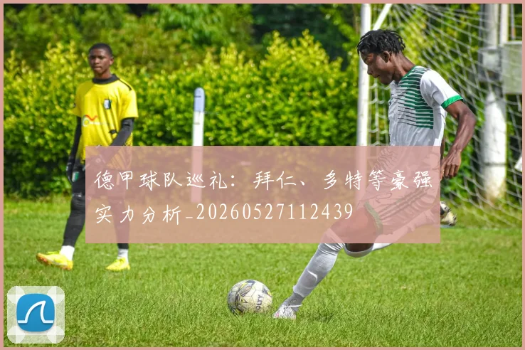 德甲球队巡礼：拜仁、多特等豪强实力分析_20260527112439