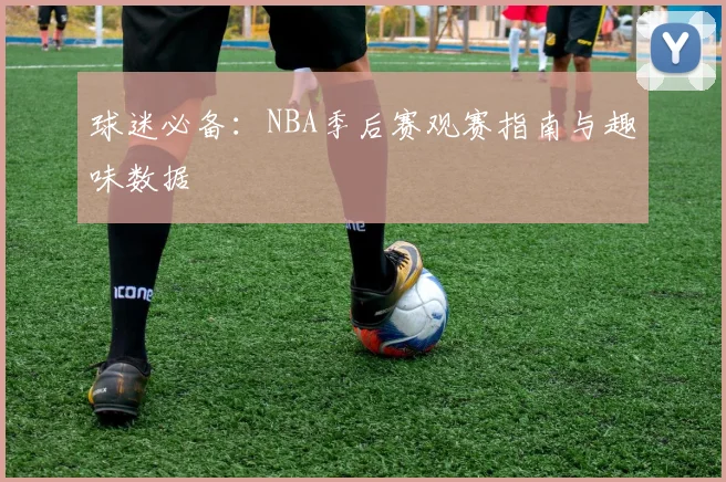 球迷必备：NBA季后赛观赛指南与趣味数据