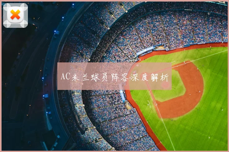AC米兰球员阵容深度解析