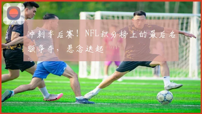 冲刺季后赛！NFL积分榜上的最后名额争夺，悬念迭起